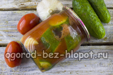 토마토 소스에 준비된 오이