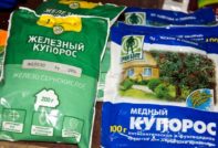 포도 질병 치료제