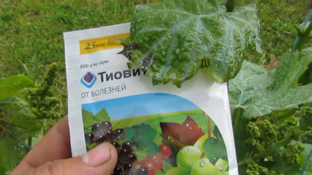 질병에 대한 치료법