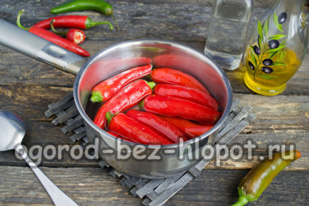 냄비에 고추를 끓이다