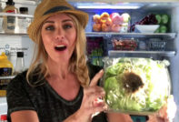 양배추가 냉장고에 들어가면 검게 변한다