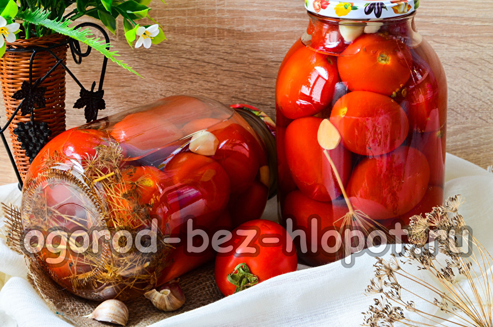 불가리아식 토마토