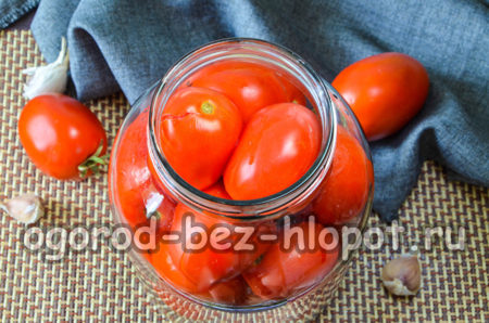 토마토를 채우다