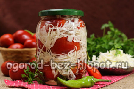 양배추와 함께 준비된 토마토