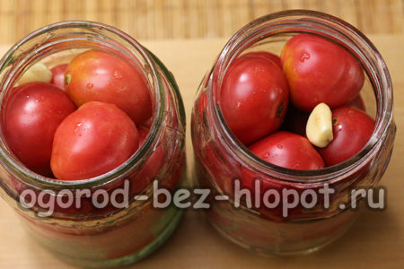 병에 토마토를 채우다