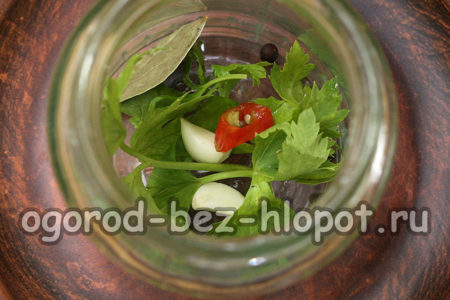 병 속의 향신료