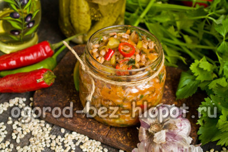 기성품 라솔니크