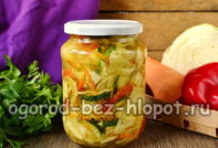 야채를 곁들인 양배추 샐러드