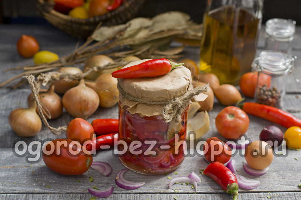 겨울철 라콤카 샐러드