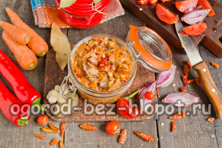 기성품 솔리안카