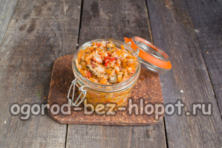 솔얀카를 병에 담다