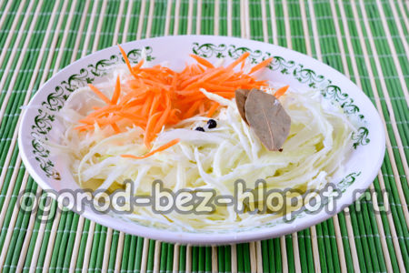 당근과 향신료를 추가하세요