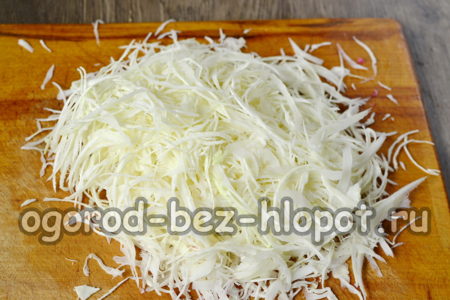 양배추를 다지다