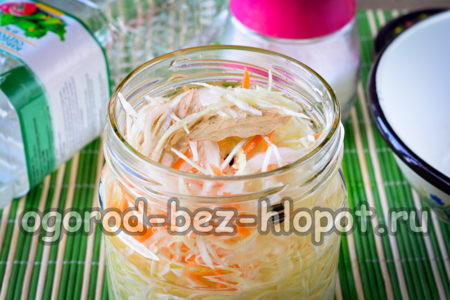 양배추에 소금물을 붓다