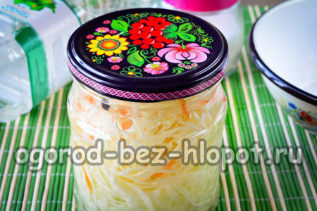 병에 담긴 양배추