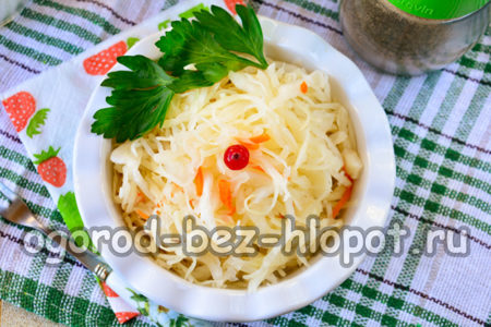 매일 양배추가 준비되었습니다