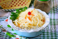 매일 병에 담긴 양배추