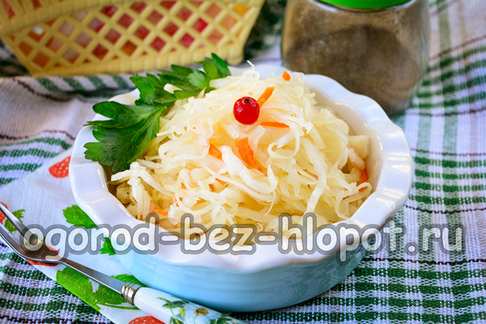 매일 병에 담긴 양배추