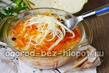 당근과 함께 먹는 양배추