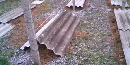 포도를 슬레이트로 덮다