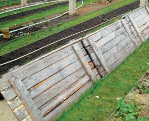 포도를 덮는 방법