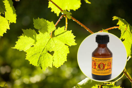 포도 가공용 요오드