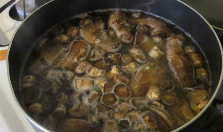 새끼 돼지 준비