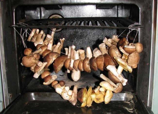 끈에 매달아 버섯 말리기