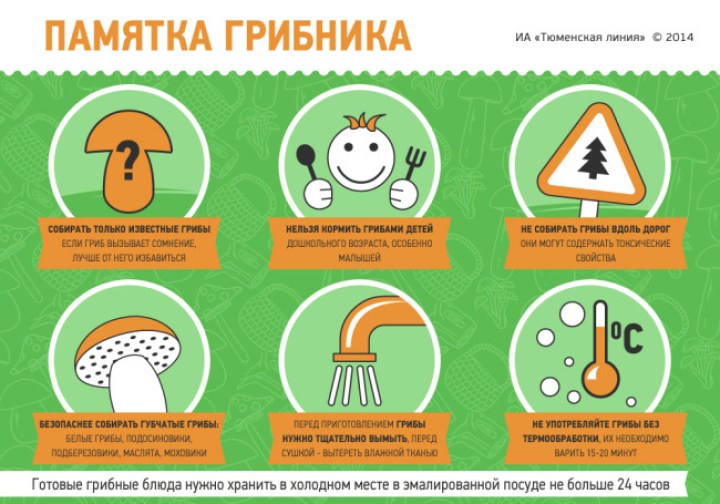 버섯 따기 안전수칙