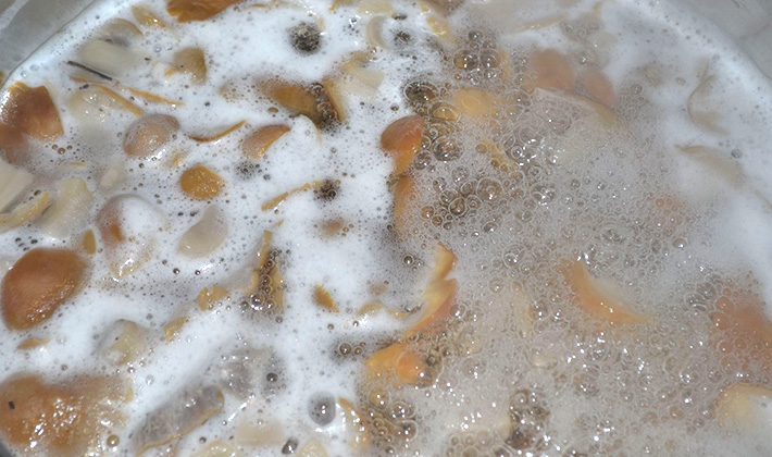 구연산과 소금을 넣은 행