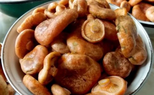 뜨거운 소금물에 절이기