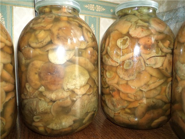 절인 버섯