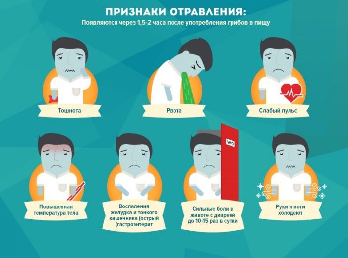 버섯 중독의 징후