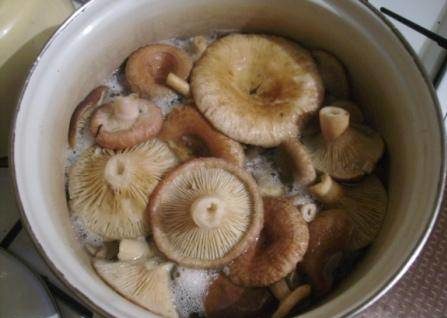 냄비에 절이는 것