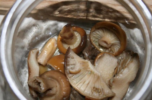 로완버섯 절임
