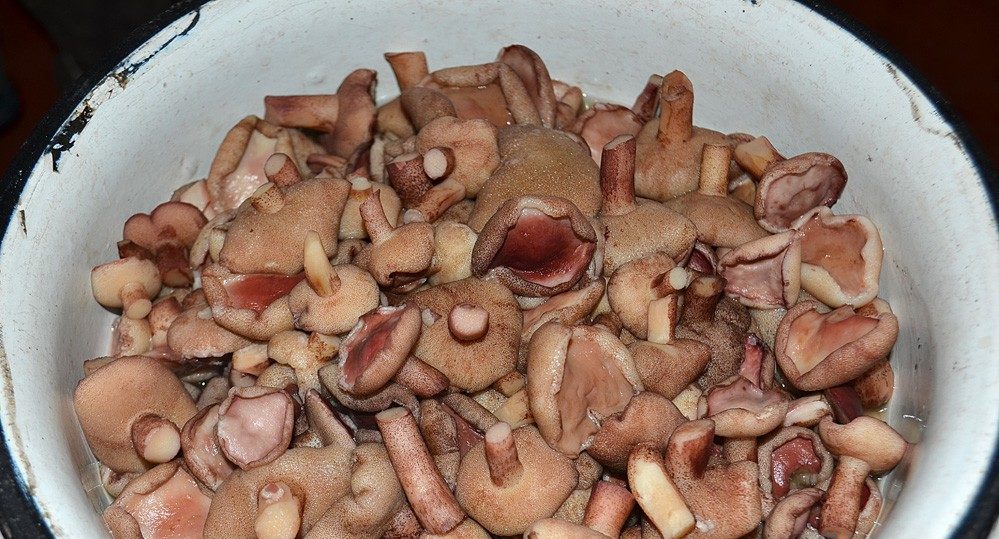 삶은 버터 버섯