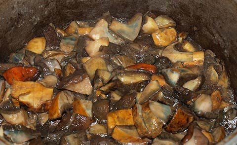 튀긴 볼레투스 버섯