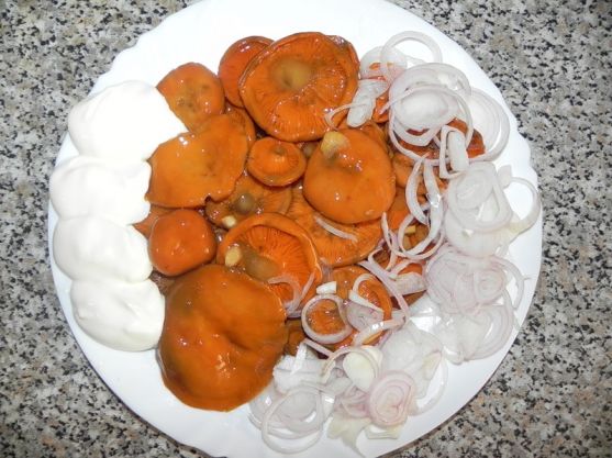 양파를 곁들인 사프란 밀크캡