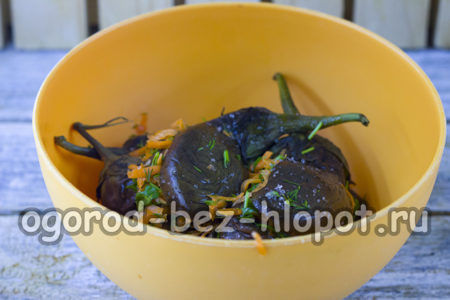 가지에 당근을 채우다