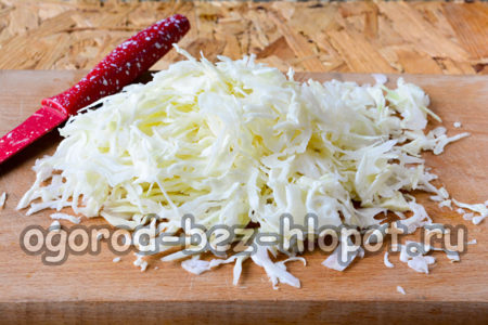 양배추를 잘게 썬다