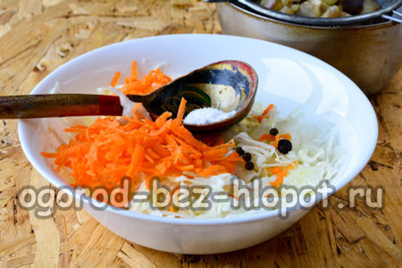 양배추와 당근에 소금을 뿌리고 향신료를 첨가합니다.