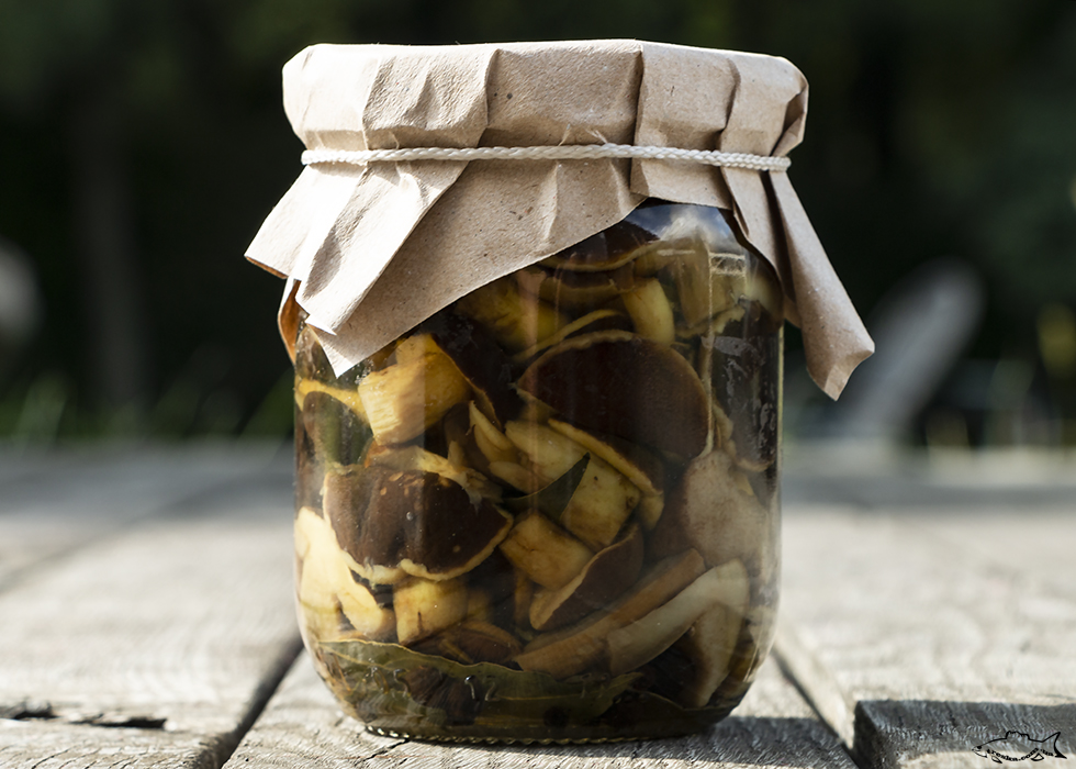 소금에 절인 버섯