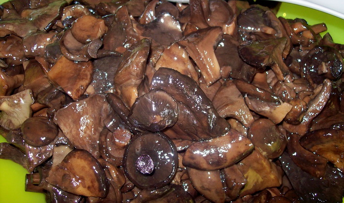 돼지 새끼 구이