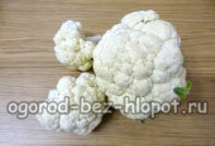 콜리플라워