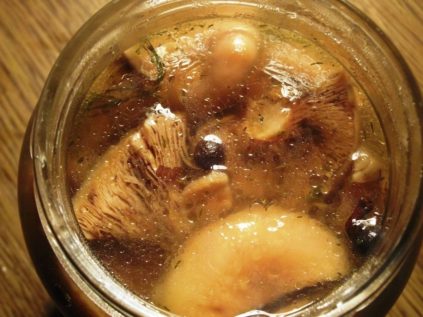 절인 사프란 밀크캡