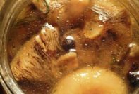 절인 사프란 밀크캡