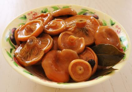 절인 사프란 밀크캡