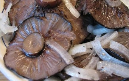 소금에 절인 포플러