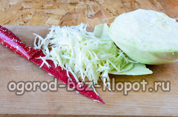 양배추를 잘게 썬다