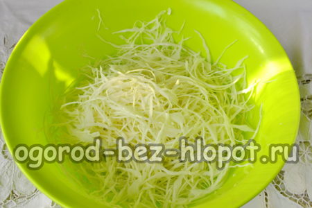 양배추를 잘게 썬다